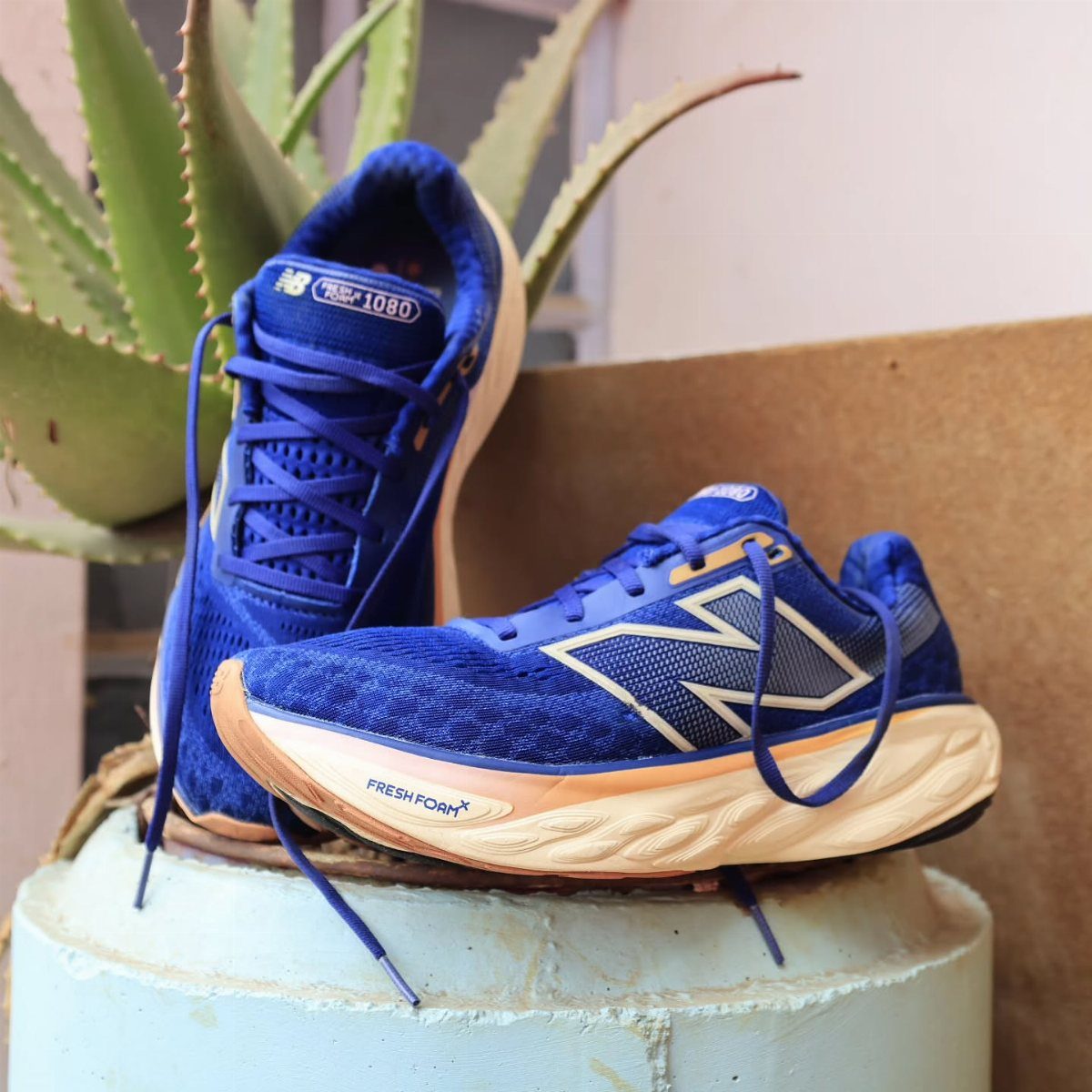 Blue New Balance Fresh Foam 1080 athletic shoes resting on a light blue pedestal near an aloe plant.