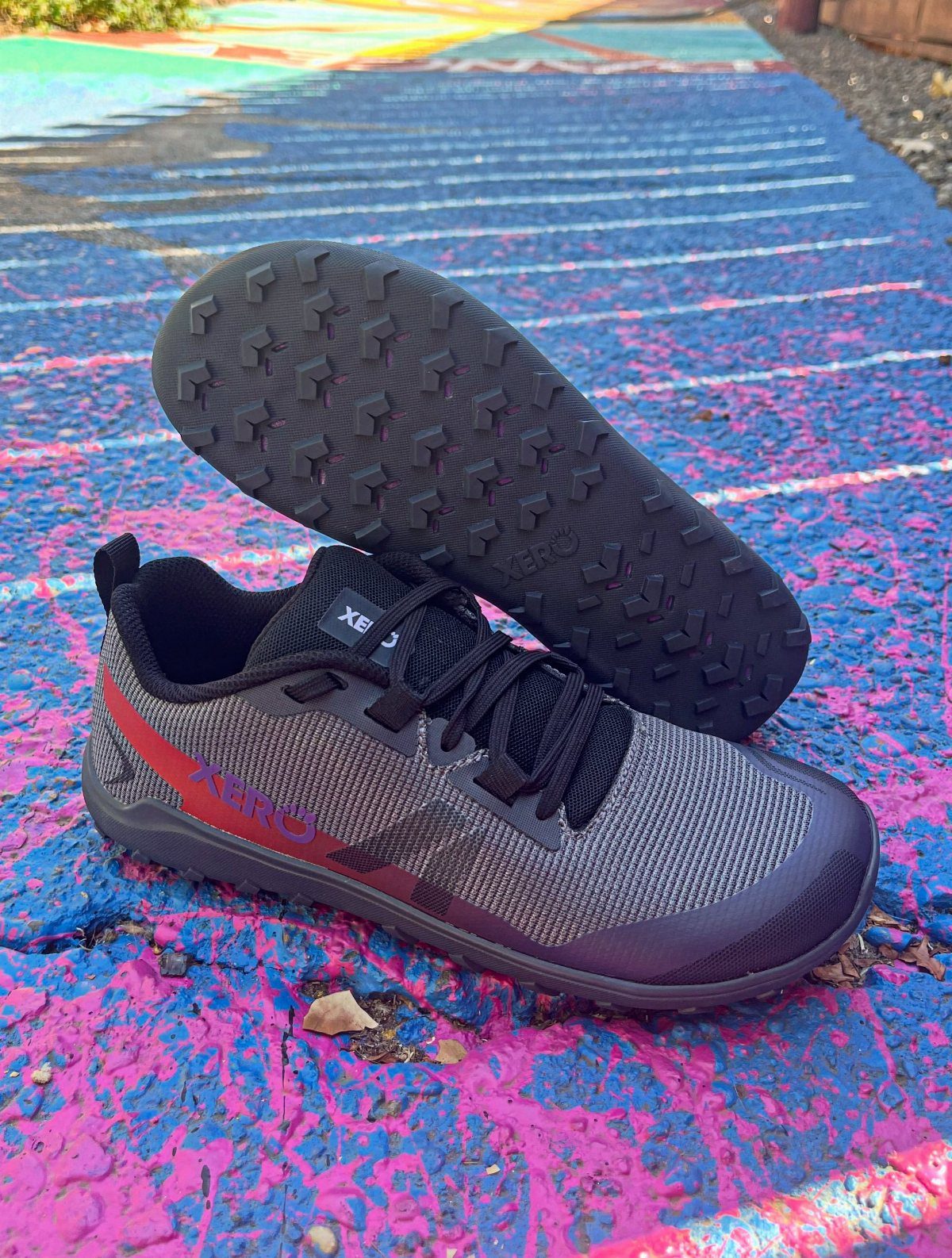 Grey and red Xero Shoes sneakers resting on a colorful blue and pink textured ground.